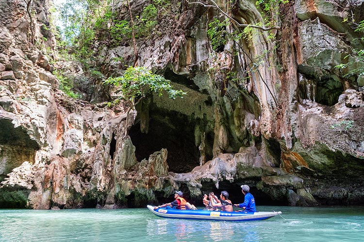 Wetland Canoe Tour