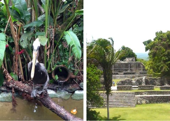 Xunantunich and Belize Zoo