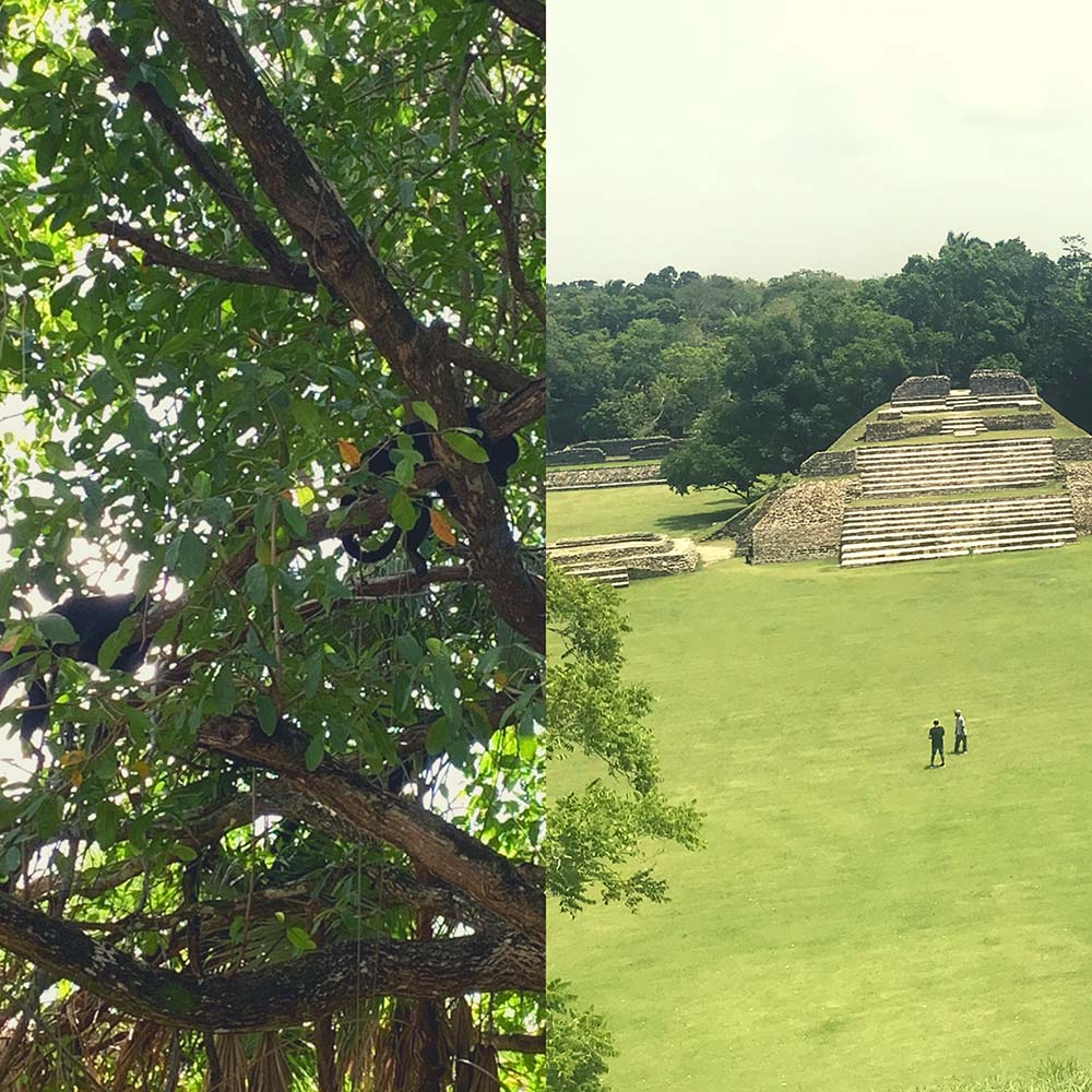 Altun Ha and Baboon Sanctuary