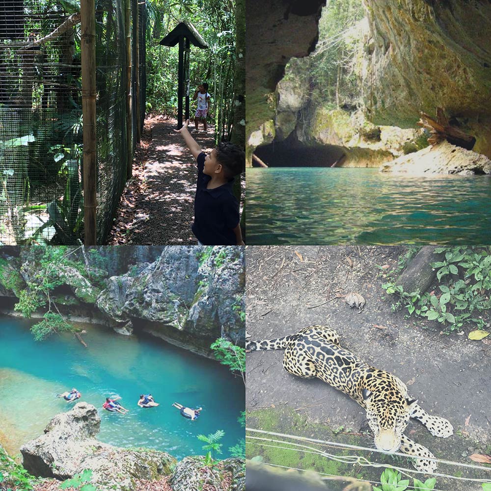 Cave Tubing and Belize Zoo